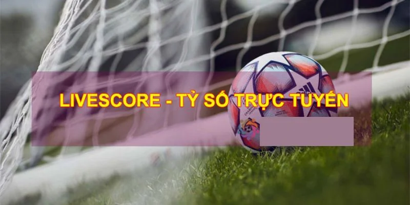 Livescore trong cá cược bóng đá đóng vai trò quan trọng