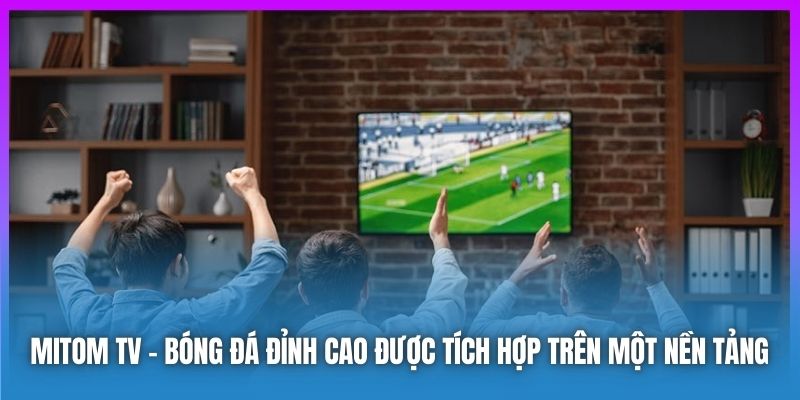 Mitom TV: Giải Pháp Toàn Diện Cho Người Hâm Mộ Thể Thao